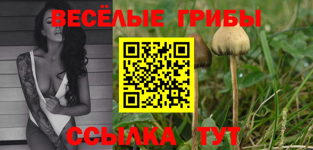 Канабис  Cocaine  Майский  ГАШ  Меф МЯУ МЯУ кристаллы  ГАШ  Вход с VPN  Экстази 